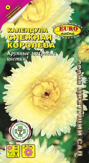 Календула Снежная королева