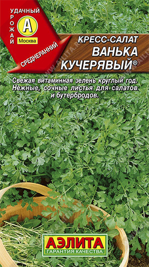 Кресс-салат Ванька-кучерявый