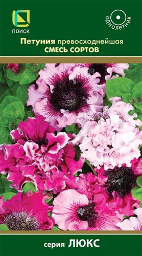petunia_prevoshodneyshaya_smes_sortov