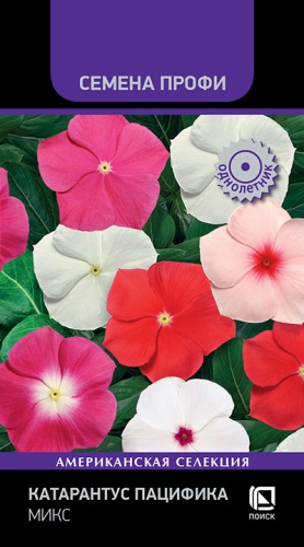 katarantus_pasifica_mix