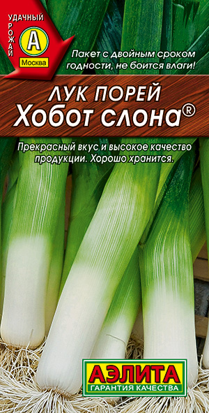 Лук порей Хобот слона_ЦП