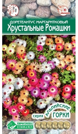 Доротеантус