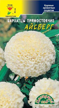 Бархатцы прямостоячие Айсберг