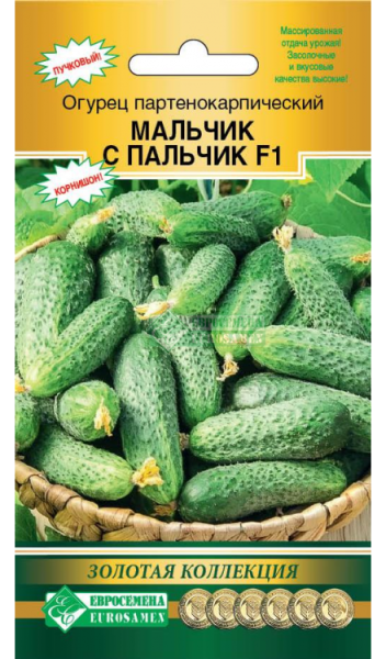 Огурец Мальчик с пальчик