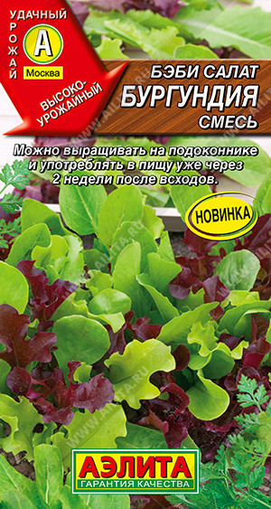 Салат Бэби Бургундия