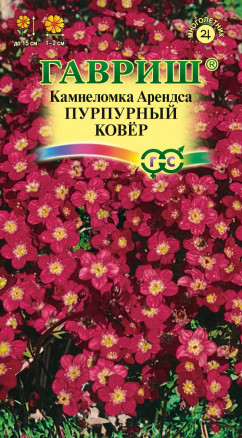 Камнеломка