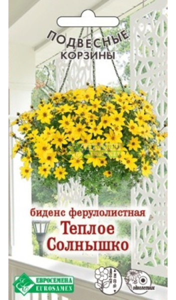 Биденс Теплое Солнышко