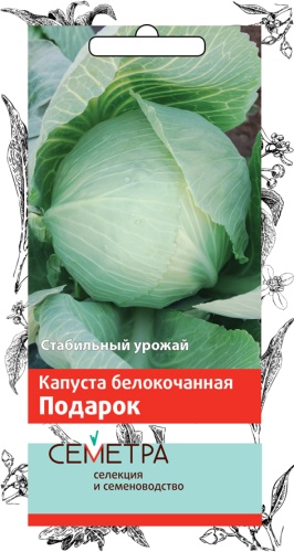 kapusta_belokoch_podarok_sem (1)