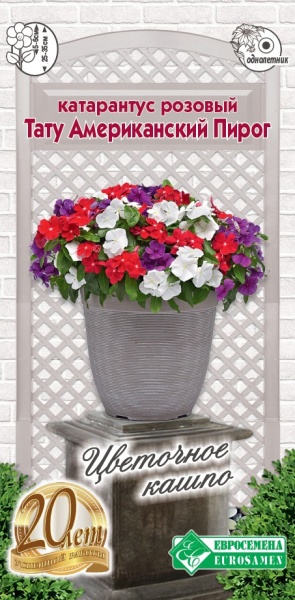 Катарантус розовый (Винка) Тату Американский Пирог