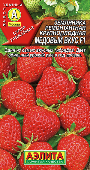 Земляника ремонтантная крупноплодная Медовый вкус F1_ЦП