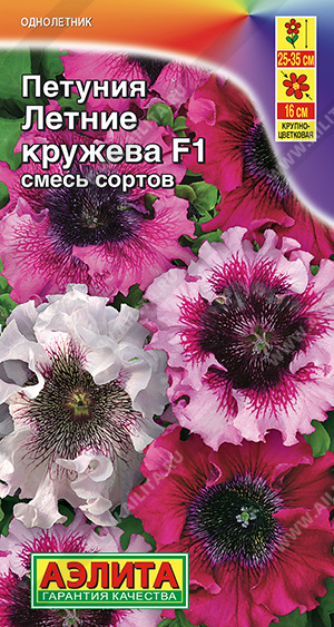 Петуния Летние кружева