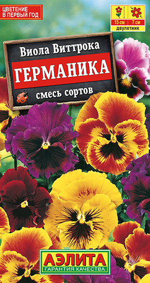 Виола Германика, смесь сортов_ЦП