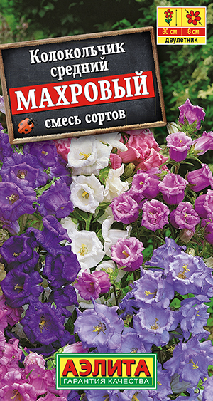 Колокольчик Махровый, смесь сортов_ЦП