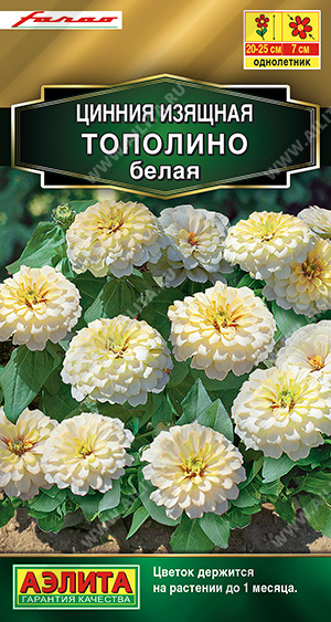 Цинния Тополино Белая