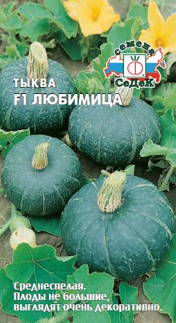tykva_lyubimitsa_f1