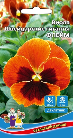 viola-fleym