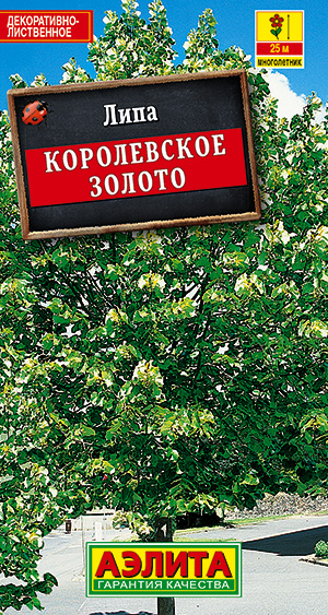 Липа пушистая Королевское золото_ЦП