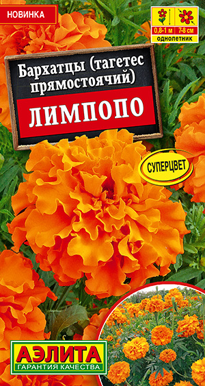 Бархатцы Лимпопо прямостоячие_ЦП