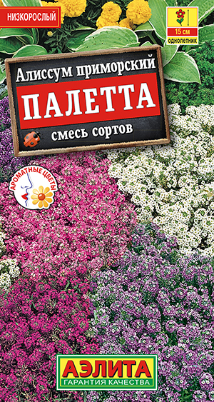 Алиссум Палетта, смесь сортов_ЦП
