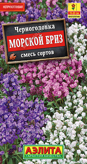 Черноголовка