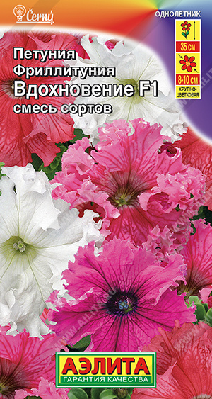Петуния фрилитуния Вдохновение