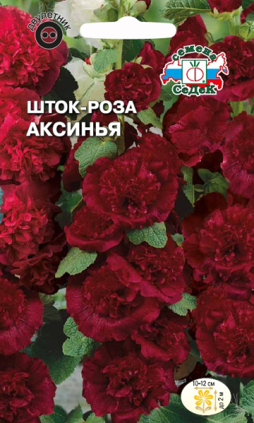 shtok_roza_aksinya
