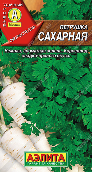 Петрушка корневая сахарная