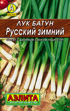 Лук батун Русский зимний_Лидер