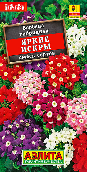 Вербена Яркие искры, смесь сортов_ЦП