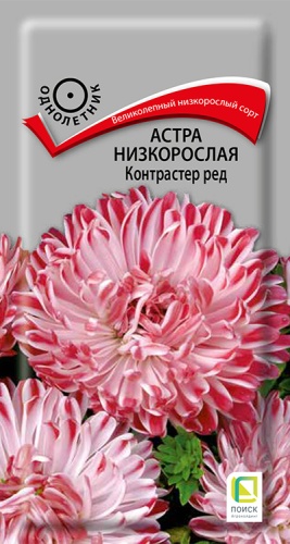 astra_kontraster_red