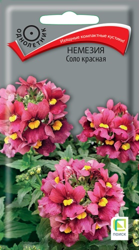 Немезия соло красная