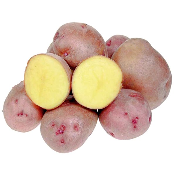 Кузнечанка