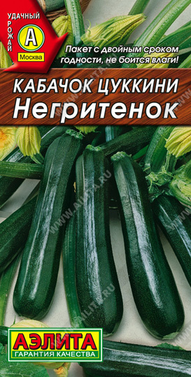 Кабачок негритенок