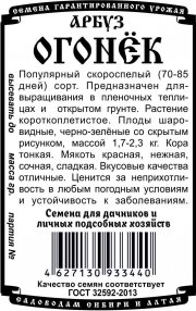 arbuz_ogonek_m