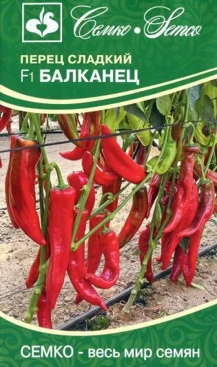 Перец сладкий Балканец