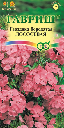 Гвоздика лососевая
