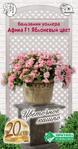 Бальзамин Афина Яблоневый цвет