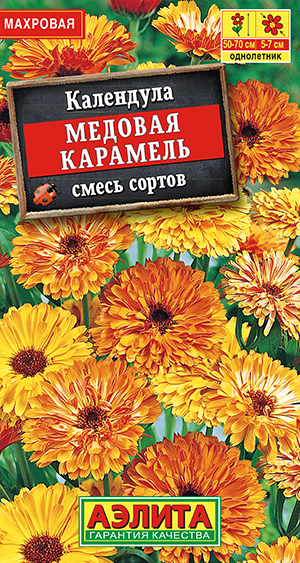 Календула Медовая карамель, смесь сортов_ЦП