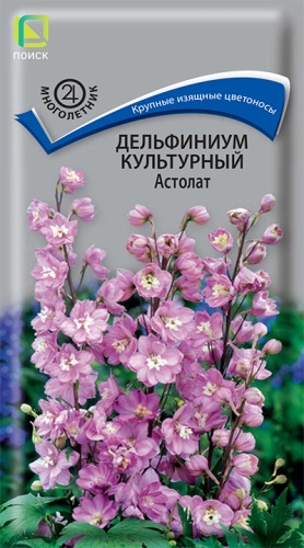 delfinium_kulrtur_astolat