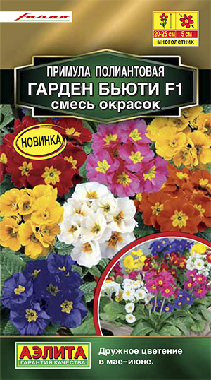 Примула Гарден бьюти F1, смесь окрасок_ЦП