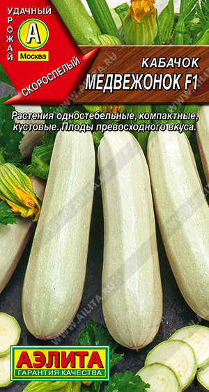 Кабачок медвежонок