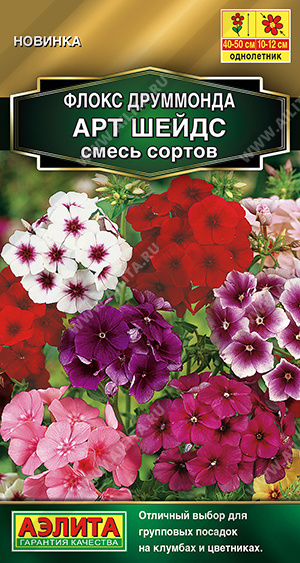 Флокс Арт Шейдс