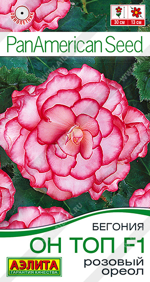 Бегония Он Топ розовый ореол