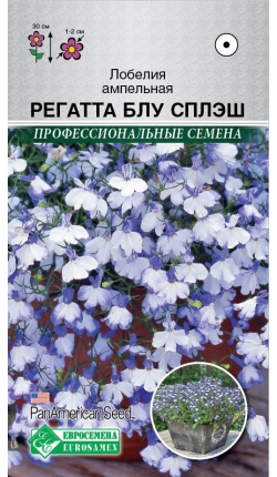 Регатта