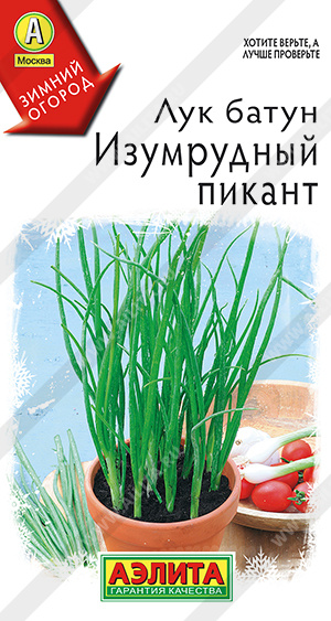 Лук Изумрудный пикант