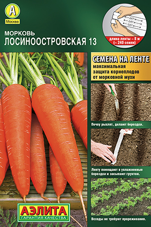 Морковь Лосиноостровская 13_Л