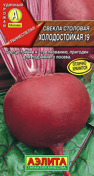 Свекла столовая Холодостойкая 19_ЦП