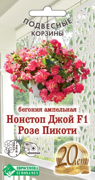 Бегония Нонстоп Джой Розе Пикоти F