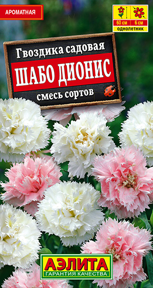 Гвоздика садовая Шабо Дионис, смесь сортов_ЦП