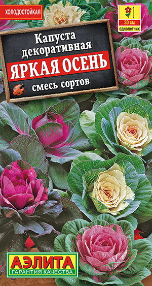 Капуста декоративная Яркая осень, смесь сортов_ЦП